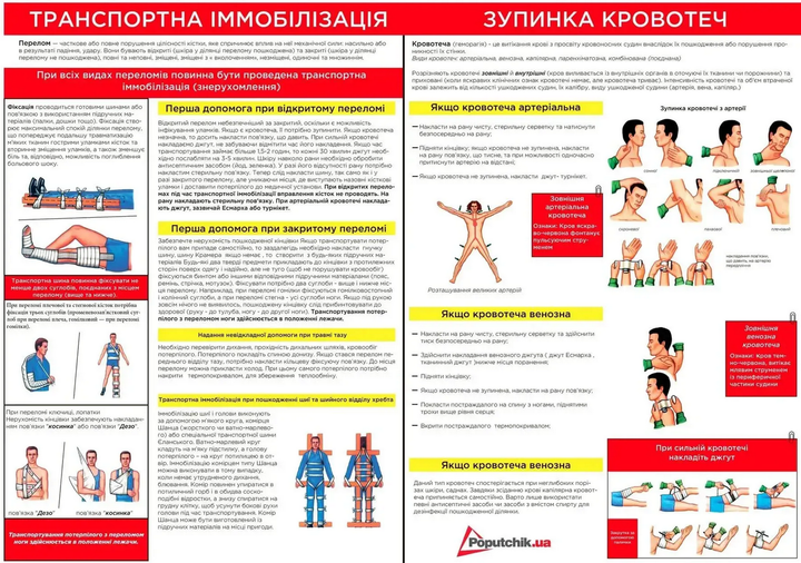Аптечка медицинская Poputchik для спортивных комплексов, площадок, спортзалов (02-090-М) - изображение 5