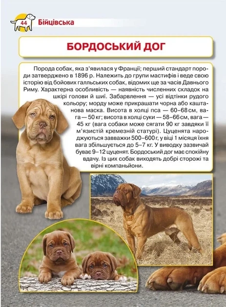 Енциклопедія. Собаки - изображение 4