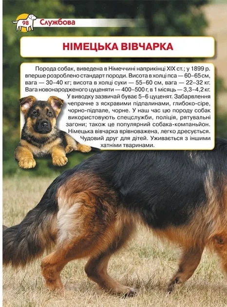 Енциклопедія. Собаки - изображение 6