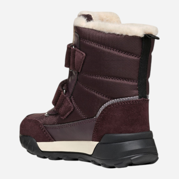 Дитячі зимові чоботи для дівчинки Geox J Trekkyup Girl B Ab J46M7E-08V22-C7357 32 Фіолетові (8058192503948) - зображення 3