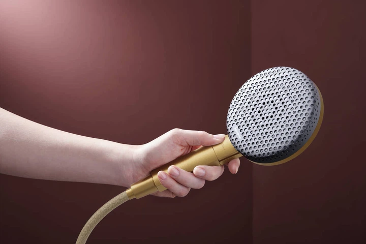 Душевая лейка HANSGROHE Raindance Alive EcoSmart с кнопкой 125мм пластик бронза 24511140 - изображение 2