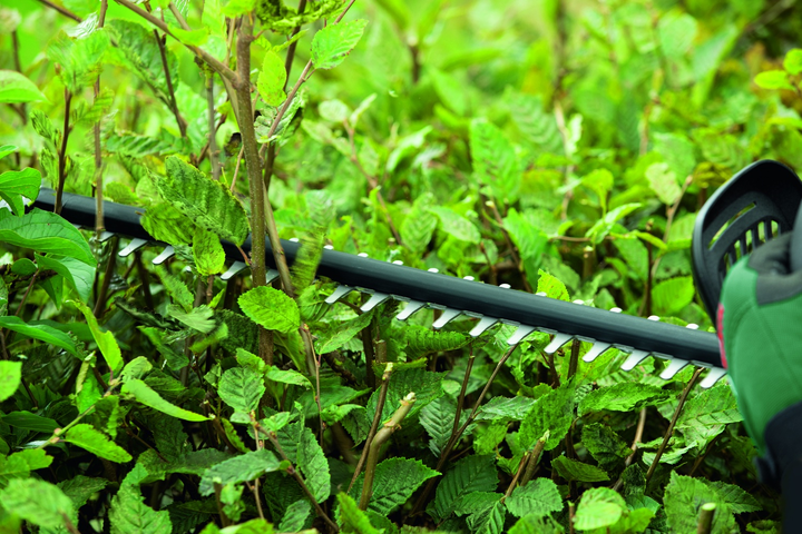Akumulatorowe bezszczotkowe nożyce Bosch UniversalHedgeCut 18V-50 solo (0600849K00) - obraz 7