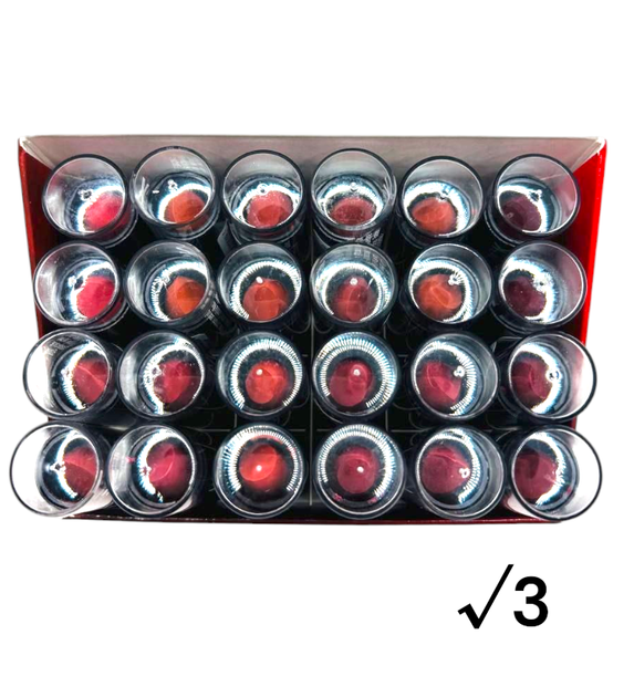 Помада для губ Eva Cosmetics Classic Набір нюдовий №3 24 шт (12*2) - изображение 2