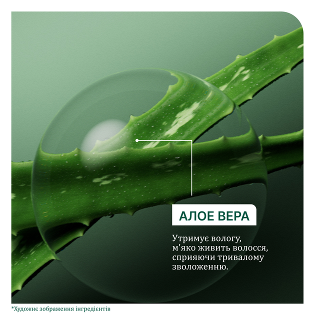Шампунь Biolage Professional Hydra Source для сухих волос 400 мл (3474637268138) - изображение 6