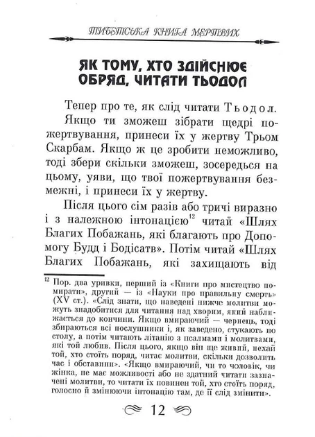 Тибетська книга мертвих - Перекладач : Леся Дудченко - Фото 10 Тибетська книга мертвих - Перекладач : Леся Дудченко - зображення 10