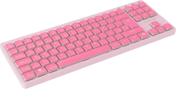 Клавіатура дротова Canyon OnType 10 TKL Low Profile USB Pink (CNS-HKB10P) - зображення 3