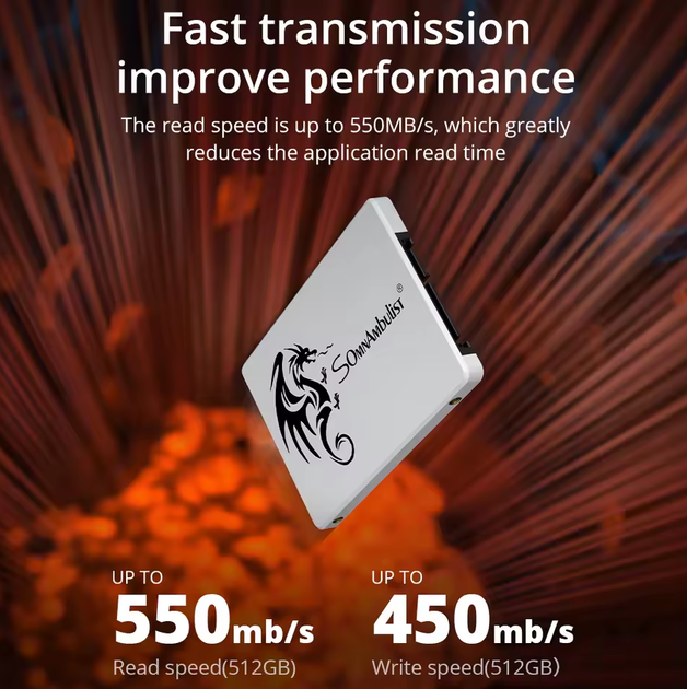 SSD диск накопичувач SomnAmbulist SSD H650 2.5