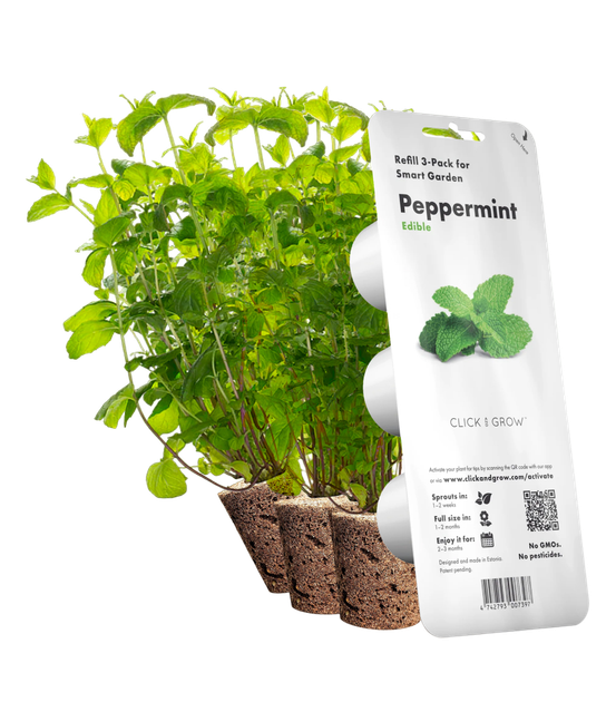 Змінний картридж Click&Grow М'ята 3шт (7397) - зображення 1