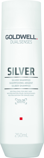Шампунь для волосся Goldwell Dualsenses Silver для освітленого та сивого волосся 250 мл (4021609028710) - зображення 1