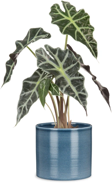 Кашпо для квітів Scheurich Inspiration керамічне синій джинс 23 x 21 см (65538) (4002477655383) - зображення 2