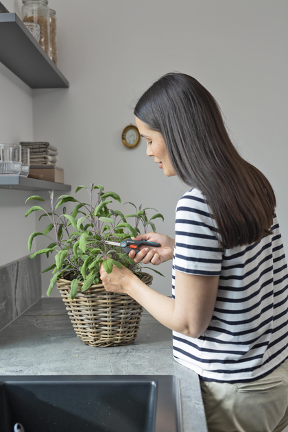 Ножиці для трави і квітів Gardena FreshCut (12212-20.000.00) - зображення 8
