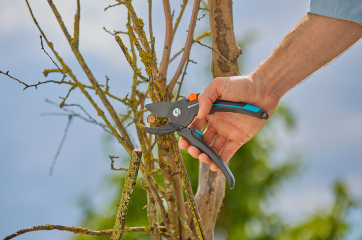 Секатор Gardena PremiumCut Pro Dry Wood з ковадлом 24 мм (аналог 08903-20.000.00) (12250-20.000.00) - зображення 11