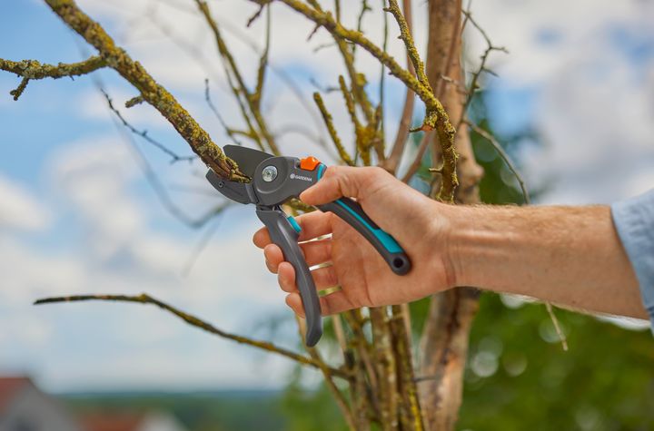 Секатор Gardena PremiumCut Pro Dry Wood з ковадлом 24 мм (аналог 08903-20.000.00) (12250-20.000.00) - зображення 12