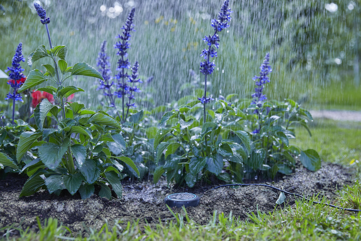 Czujnik wilgotności gleby Gardena 01867-20.000.00 - obraz 8
