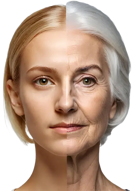 Zestaw suplementów diety EONLIFE Eon Longevity Complex 60 kapsułek 3 szt. (ZES5907317002305) - obraz 6