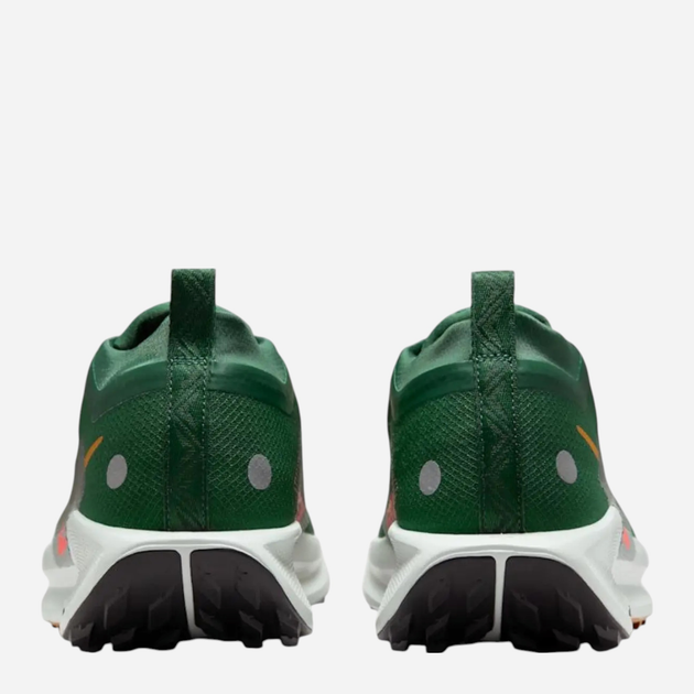 Чоловічі кросівки для бігу Nike Pegasus Trail 5 Gtx FQ0908-301 42 (8.5US) 26.5 см Зелені (198481583560) - зображення 4