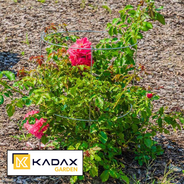 Набір опор для рослин Kadax 36 x 90 см, 3 шт. (5903699475430) - зображення 7