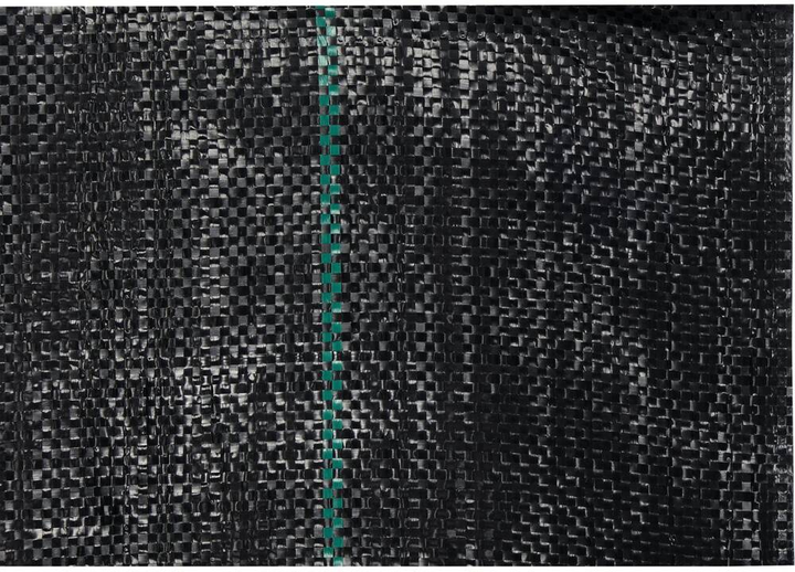 Agrotkanina Flo 50 x 1.6 m 70 g/m² (91050_f) - obraz 2
