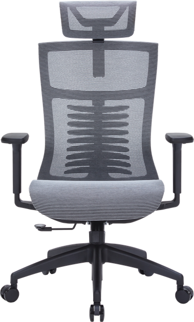 Крісло офісне OfficePro Balance OC620-B-DG-DG - изображение 2