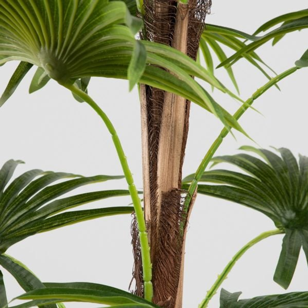 Штучна рослина Homla Tropical Zone пальма 150 cм (5906496740626) - зображення 4