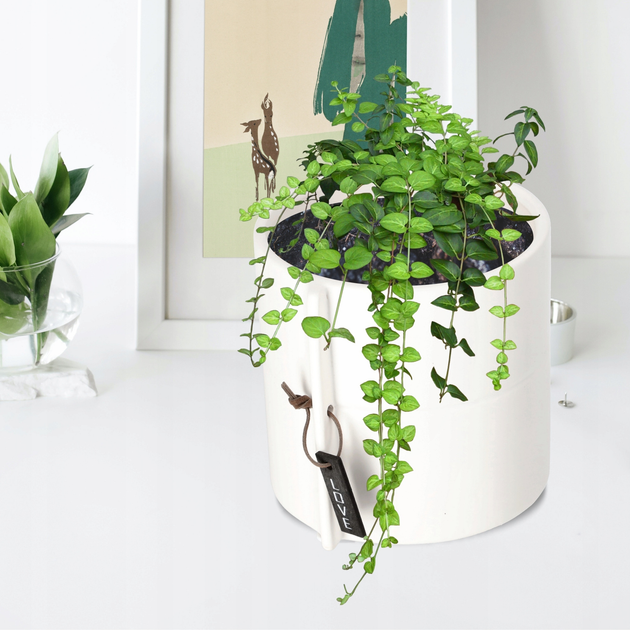 Osłonka ceramiczna na doniczkę Kadax Biała 13 cm (5903699419885) - obraz 6