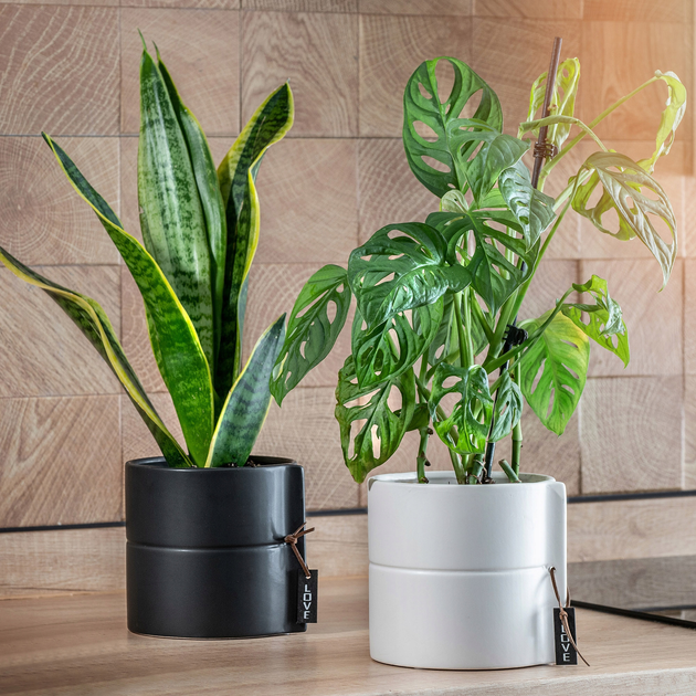 Osłonka ceramiczna na doniczkę Kadax Biała 13 cm (5903699419885) - obraz 7