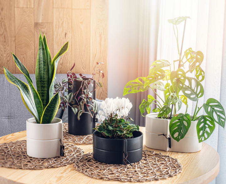 Osłonka ceramiczna na doniczkę Kadax Czarna 13 cm (5903699419892) - obraz 8