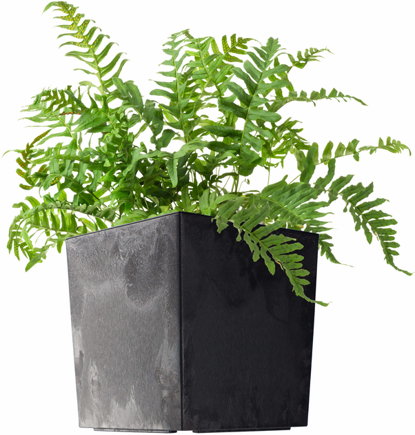 Donica ogrodowa z wkładem Kadax Czarna 25 cm (5903699495261) - obraz 6