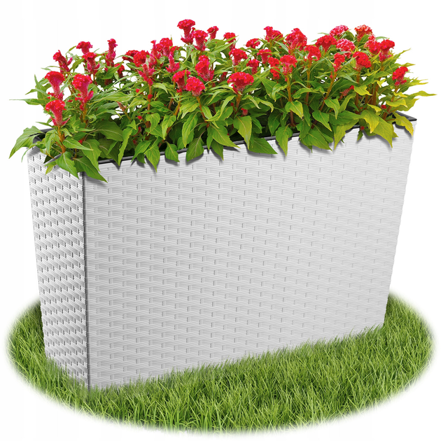 Doniczka ogrodowa z wkładem Kadax Rattan Biała 19x56 cm (5903699428771) - obraz 9