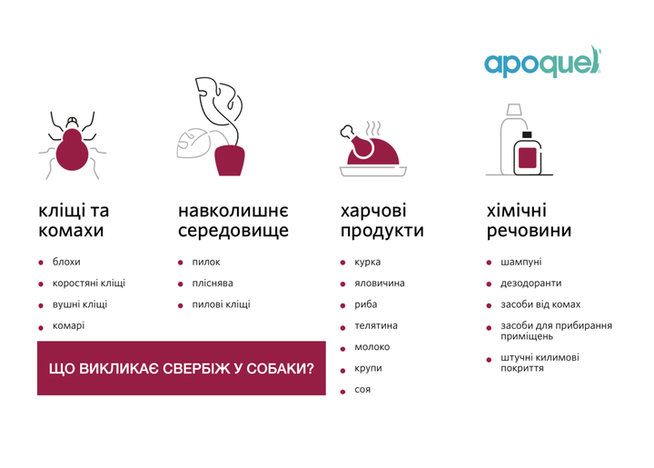 Ветеринарные препараты Zoetis Apoquel - таблетки при дерматите для собак, 3.6 мг 100 табл (10024434) - изображение 4