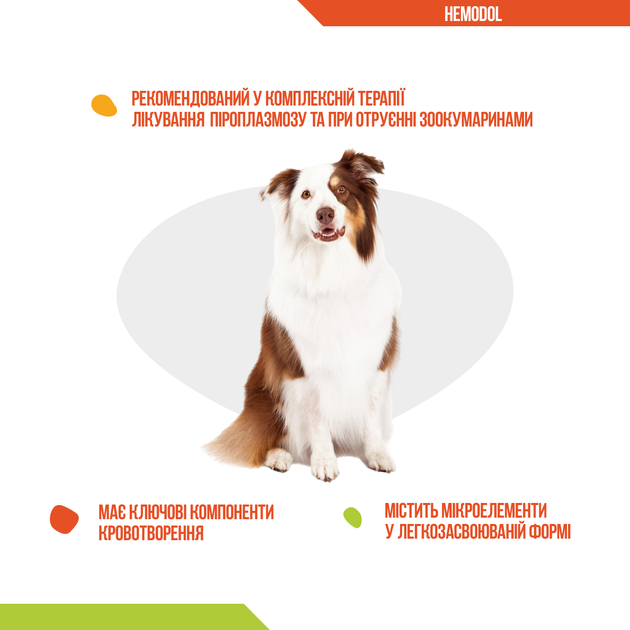 Витамины и минералы Dolfos HemoDol – витамины для улучшения процессов кроветворения у собак 90 табл (5996-90) - изображение 2