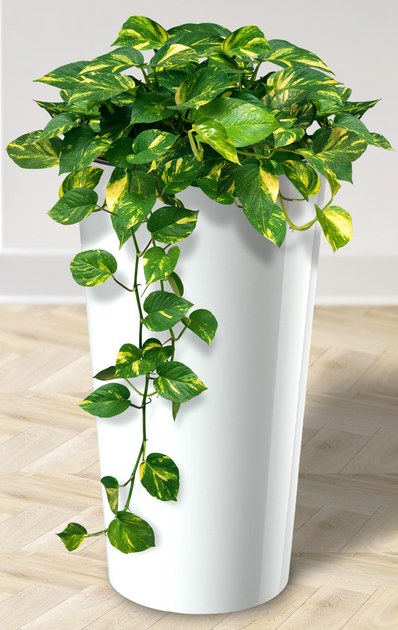 Doniczka z wkładem Kadax Biała 47 cm (5903699495308) - obraz 4