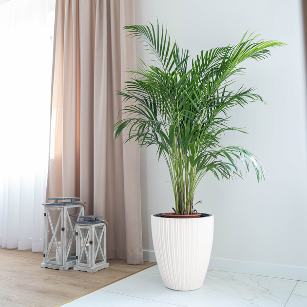 Doniczka z wkładem Kadax Biała 40 cm (5903699497487) - obraz 10