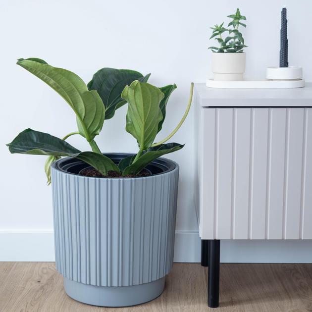 Doniczka z wkładem Kadax Szara 30 cm (5903699497395) - obraz 8