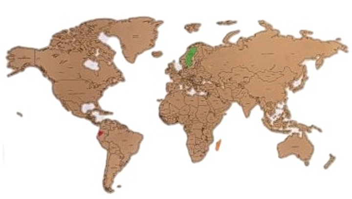 Mapa świata Homla Kesdo 60 x 40 x 2 cm (5906496705335) - obraz 1