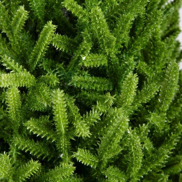 Choinka sztuczna HOMLA 714405 Hector z jutą 48 cm Zielona (5906496714405) - obraz 3