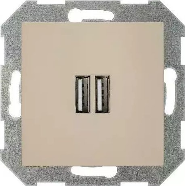 Розетка Liregus USB Charger Beige (IUK-2-01.R/ONC) - зображення 1