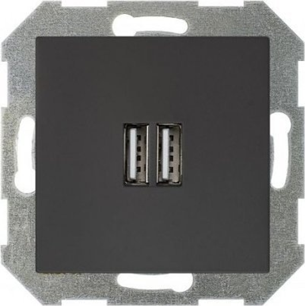 Розетка Liregus USB Charger Black (IUK-2-01.R/ON59) - зображення 1