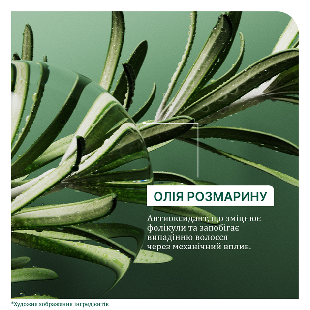 Шампунь Biolage Professional Full Rescue для ломких и склонных к выпадению волос 400 мл (3474637269692) - Фото 5 Шампунь Biolage Professional Full Rescue для ломких и склонных к выпадению волос 400 мл (3474637269692) - изображение 5