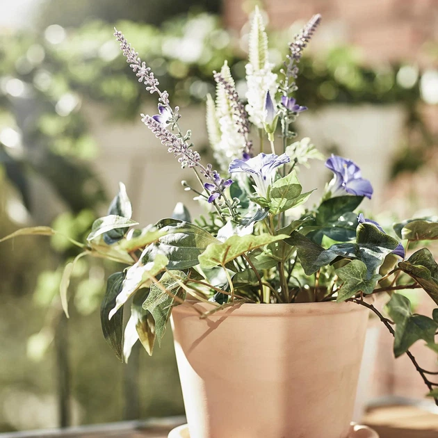 Квітковий горщик з підставкою ІКЕА MUSKOTBLOMMA 12 см (00454883) - изображение 6