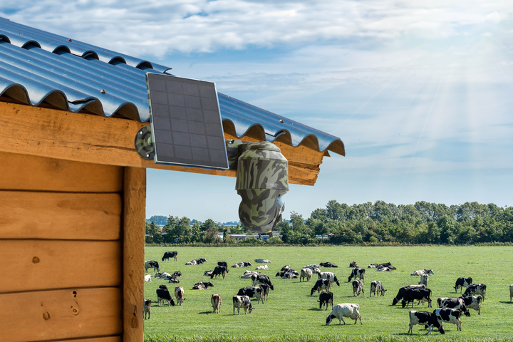 IP-камера Technaxx 4G PT Dome TX-290 with solar panel (4260358126463) - зображення 8