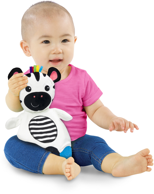 Miękka zabawka Baby Einstein Zebra Zen 12490 (074451124905) - obraz 2