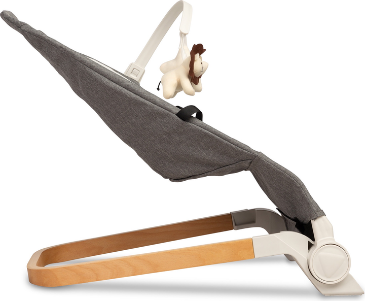 Leżaczek dziecięcy Caretero Pine Grey TERO-80611 (5908310397870) - obraz 3