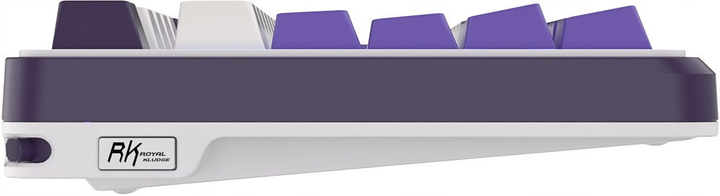 Klawiatura bezprzewodowa RK ROYAL KLUDGE S98 RGB Brown Switch Blackberry Mousse (RK-S98-BBERRYMS-BRNSW-US) - obraz 7