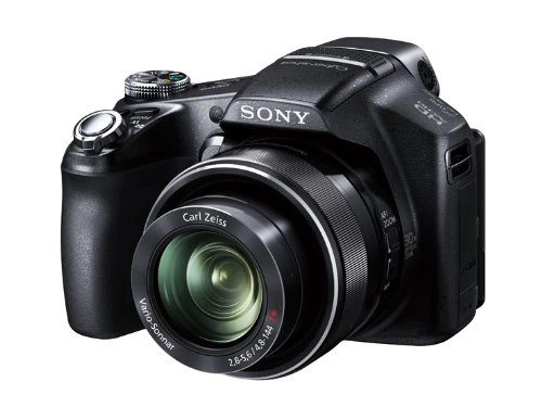 Sony Cyber-Shot DSC-HX100V Black (Англ. меню) купить на ROZETKA