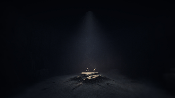 Gra Nintendo Switch 2 REANIMAL Deluxe Edition (Game-Key Card) (9120131603428) - obraz 6