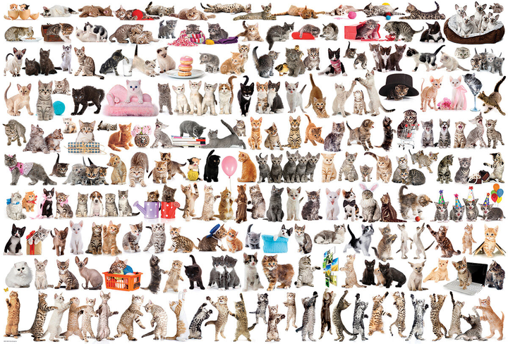Puzzle EuroGraphics Świat kotów 2000 el 8220-0580 (628136205801) - obraz 2