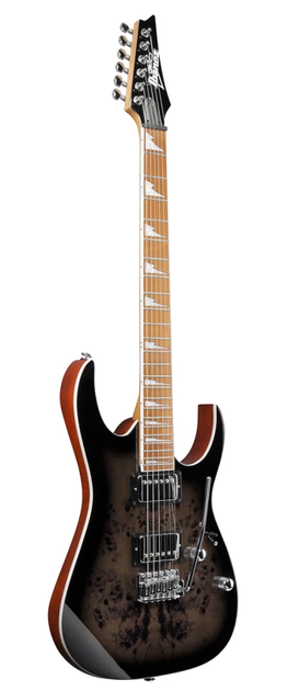 Электрогитара Ibanez GRG220PA1 - изображение 3