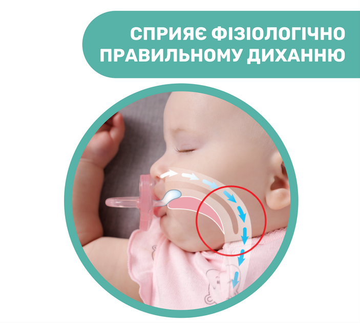 Пустушка Mommy Bag Physio Soft ортодонтична, латексна (0-12 міс) з футляром - зображення 9