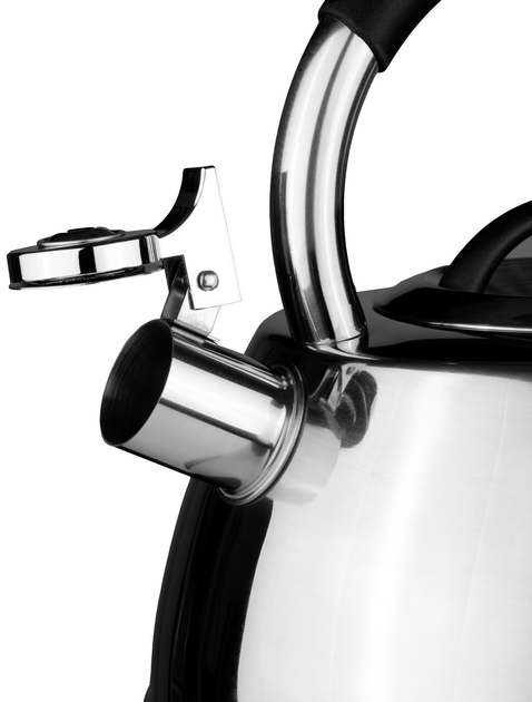 Чайник Domoletti CWT003B срібний 3 л (4772013450382) - зображення 2